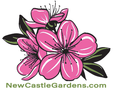 New-Castle-Gardens-FLOWER